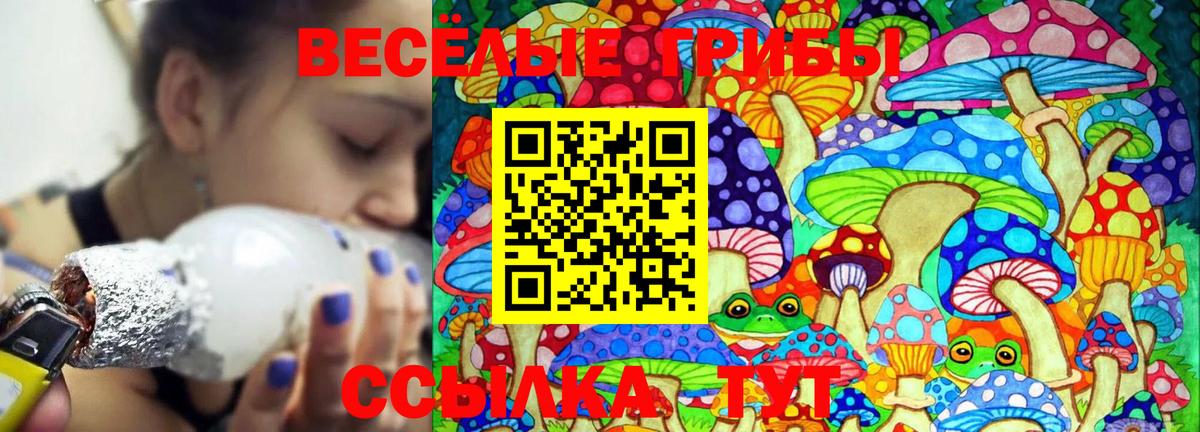 Электрогорск  Псилоцибиновые грибы Cubensis  Псилоцибиновые грибы Magic Shrooms  Вход с VPN 